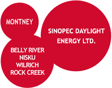 Sinopec Daylight Energy Ltd.